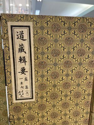 A collection of 'Essentials of the Daoist Canon 道藏輯要' books, China, 20th C. — 照片 45