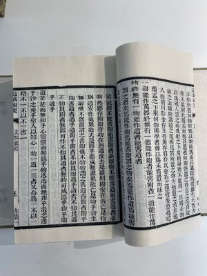 A collection of 'Essentials of the Daoist Canon 道藏輯要' books, China, 20th C. — 照片 46
