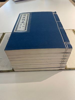 A collection of 'Essentials of the Daoist Canon 道藏輯要' books, China, 20th C. — 照片 8
