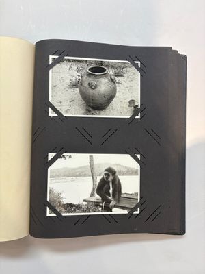A collection of four photo albums and fieldwork prints documenting South and Southeast Asia, 20th C. — photo 98