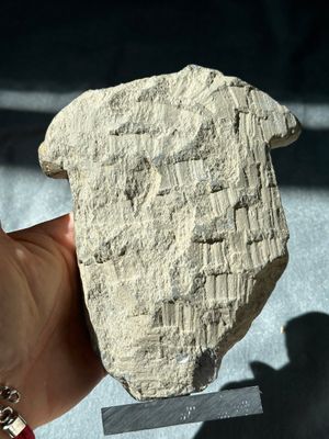 A collection of six Gandhara grey schist fragments with Bodhisattva, divinities and figures, 2/4th C. — 照片 36