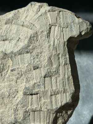 A collection of six Gandhara grey schist fragments with Bodhisattva, divinities and figures, 2/4th C. — 照片 37