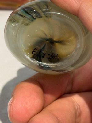A collection of ten Chinese agate snuff bottles, 20th C. — photo 10