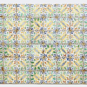 A field of 48 Dutch Delft polychrome "Pomegranate" tiles for the English market, 19th C. — 照片 2