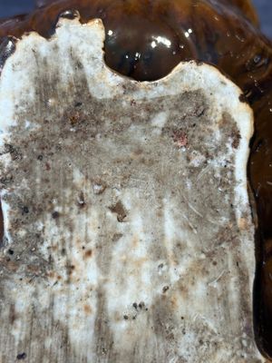 A fine Chinese cafe-au-lait glazed hare on wooden stand, Tian 天 mark, Qing — 照片 10