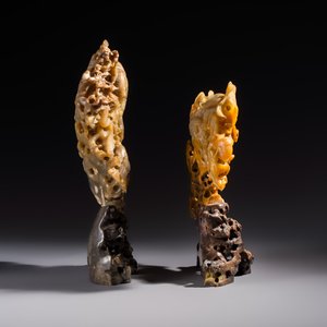 A fine Chinese carved soapstone 'Dragons among Clouds' group and a 'Phoenixes and Cranes' group, 20th C. — photo 4