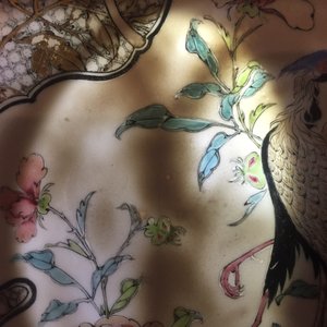 A fine Chinese famille rose and grisaille eggshell plate with a pheasant, Yongzheng — photo 4