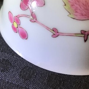 A fine Chinese famille rose cup and saucer with floral design, Yongzheng — photo 21