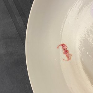 A fine Chinese famille rose eggshell plate with a scholar, Yongzheng — 照片 3