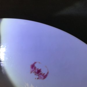 A fine Chinese famille rose eggshell plate with a scholar, Yongzheng — photo 4