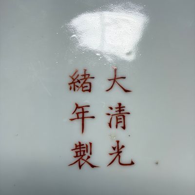 A fine Chinese famille rose 'Pair of Birds among Flowering Branches' plate — 照片 9