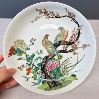 A fine Chinese famille rose 'Pair of Birds among Flowering Branches' plate — 照片 1
