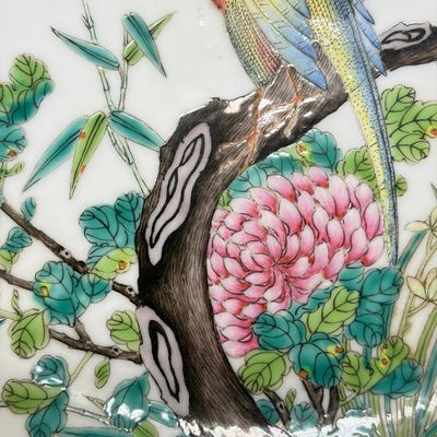 A fine Chinese famille rose 'Pair of Birds among Flowering Branches' plate — 照片 3