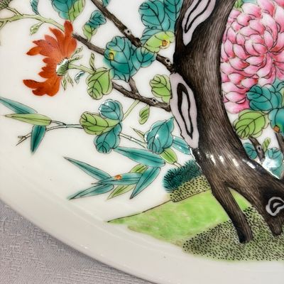 A fine Chinese famille rose 'Pair of Birds among Flowering Branches' plate — 照片 4