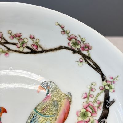 A fine Chinese famille rose 'Pair of Birds among Flowering Branches' plate — 照片 6