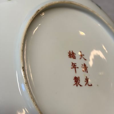 A fine Chinese famille rose 'Pair of Birds among Flowering Branches' plate — 照片 8