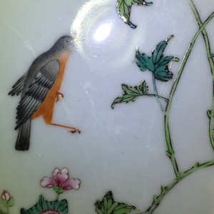 A fine Chinese famille rose porcelain plate with birds on a peony branch, Yongzheng, 1722 – 1735 — 照片 4
