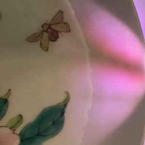 A fine Chinese famille rose 'ruby back' eggshell plate with floral design, Yongzheng — 照片 3