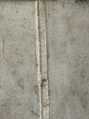 A fine Chinese iron-red and grisaille 'luohan' plaque, signed Wang Bu 王步, 20th C. — 照片 11