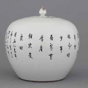 A fine Chinese porcelain Qianjiangcai ginger jar and cover, signed, 19/20th C. — 照片 2