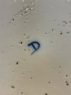 A fine polychrome Dutch Delft 'flower vase' plaque, 18th C. — photo 7