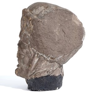 A Flemish carved stone bishop's head, 15/16th C. — 照片 5