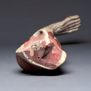A French anatomical model of a human leg in polychrome papier-mâché, Maison Auzoux, dated 1947 — foto 6