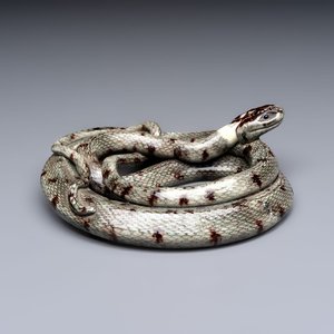 A French faience model of a snake, probably Saint-Honoré-Les-Bains, 19th C. — photo 1