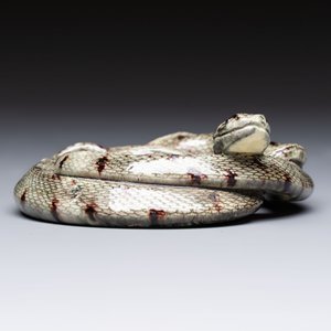 A French faience model of a snake, probably Saint-Honoré-Les-Bains, 19th C. — photo 6
