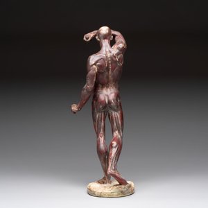 A French polychrome plaster anatomical 'écorché' figure after Jean Antoine Houdon (1741-1828), 19th C. — foto 3