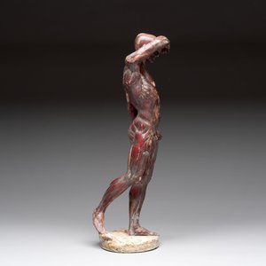 A French polychrome plaster anatomical 'écorché' figure after Jean Antoine Houdon (1741-1828), 19th C. — foto 4