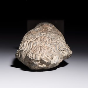 A Gandhara grey schist relief fragment of a Bodhisattva head, 3rd/4th C. — photo 6