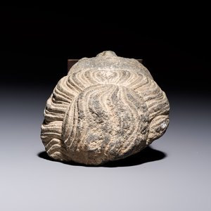 A Gandhara grey schist relief fragment of a Bodhisattva head, 3rd/4th C. — photo 6