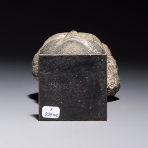 A Gandhara grey schist relief fragment of a Bodhisattva head, 3rd/4th C. — photo 7
