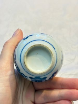 A group of 12 Chinese blue and white miniature vases and a small bottle vase, Kangxi — photo 8