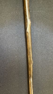 A honey-brown rhinoceros horn swagger stick with a gilt-copper knob — 照片 7