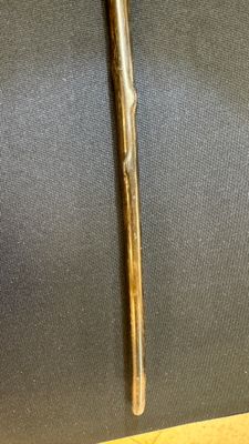 A honey-brown rhinoceros horn swagger stick with a gilt-copper knob — 照片 8