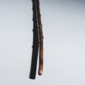 A honey-brown rhinoceros horn swagger stick with a gilt-copper knob — 照片 6