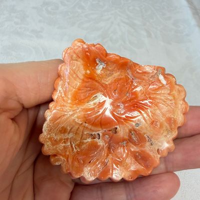 A Japanese carved red coral 'Frogs' group — 照片 7