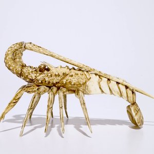 A Japanese ivory okimono of a lobster, Meiji, 19th C. — photo 1
