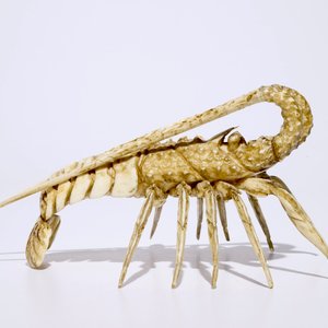 A Japanese ivory okimono of a lobster, Meiji, 19th C. — photo 3