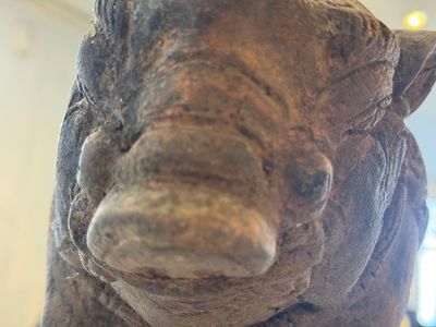 A Javanese terracotta boar-shaped money bank, probably Majapahit Kingdom, 15th C. — photo 20