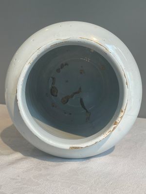 A large blue and white Dutch Delft albarello, inscribed 'Rosar:Pallidar', 18th C. — foto 12