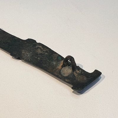 A large Chinese archaic bronze dragon-shaped fitting, early Western Zhou — photo 7