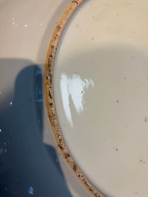 A large Chinese blue and white dish with floral design, Kangxi — photo 9