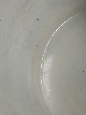 A large Chinese blue and white fish bowl, Jiaqing — 照片 7
