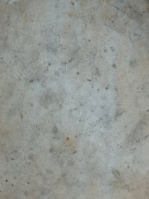 A large Chinese blue and white fish bowl, Jiaqing — photo 20