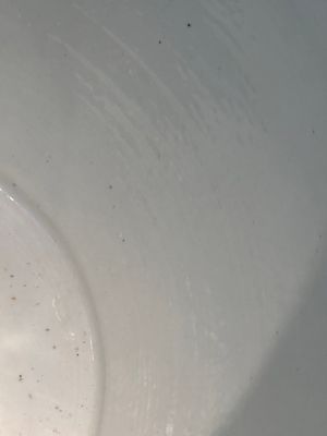 A large Chinese blue and white 'He Lu Tong Chun 鶴鹿同春' fish bowl, 19th C. — photo 20