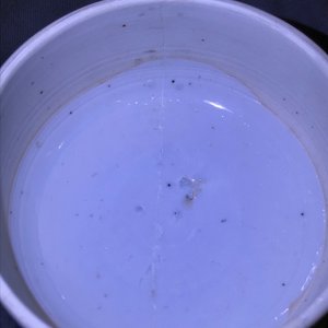 A large Chinese blue and white 'ladies' jar and cover, Kangxi — photo 11