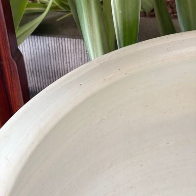 A large Chinese blue and white 'Lotus Scroll' fish bowl — 照片 11